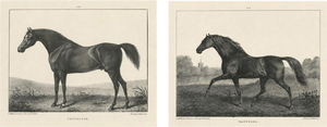 After Chalon, Volunteer & Selim Thoroughbred Horses, Lithographs, 1840, Set of 2