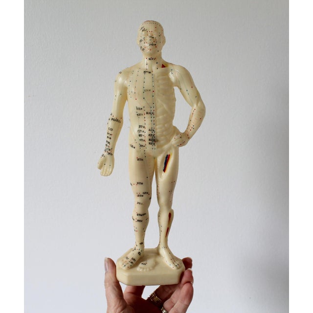 Figurative Vintage Acupuncture Mannequin For Sale - Image 3 of 13