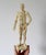 Figurative Vintage Acupuncture Mannequin For Sale - Image 3 of 13