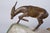 Height of marble: 5 cm (2 in) This impressive sculpture titled "Pair of Chamois" dates back to the 1920s, was created in...