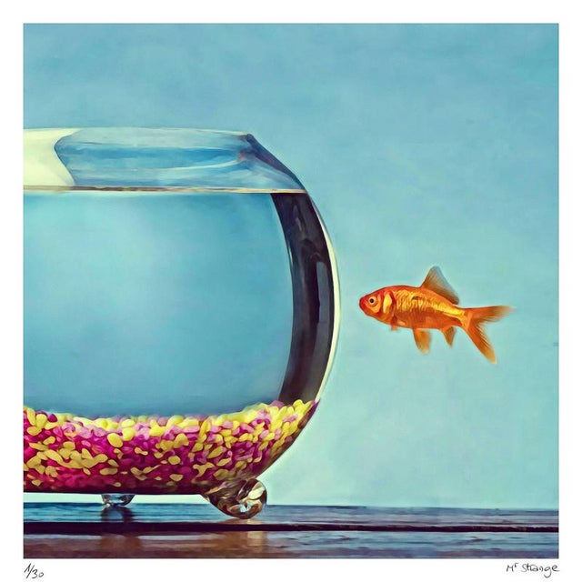 Mr Strange, The Goldfish, 2021, Silkscreen Print For Sale - Image 6 of 6