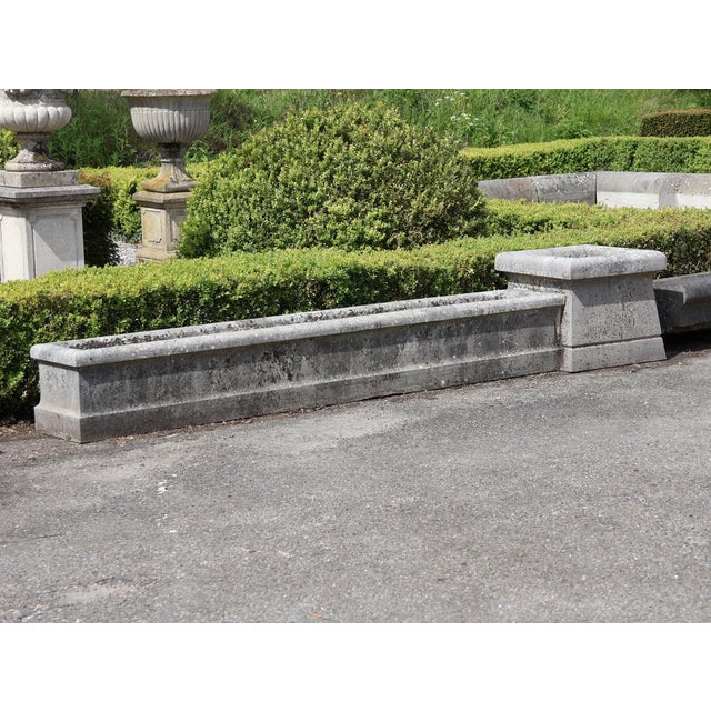 Mid-Century French Limestone Planters, 1950s, Set of 4 For Sale - Image 11 of 12