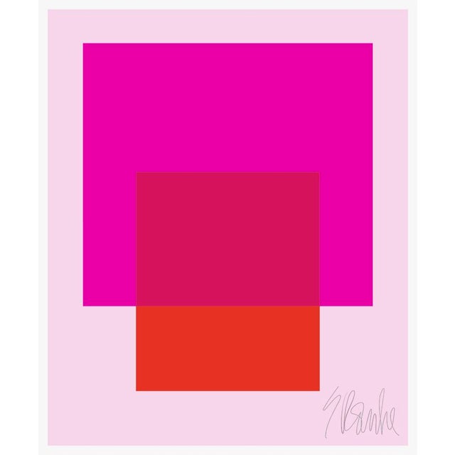 The Interaction of Deep Hot Pink and Red on Light Pink Fine Art Print 20" X 24" by Liz Roache For Sale