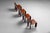 Rafael Carreras Trade Chairs by Gavina, Spain, 1968, Set of 4 For Sale - Image 13 of 18