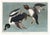 John James Audubon Golden-Eye Duck From Birds of America, Vintage Art Print Reproduction, 24″ × 18″ For Sale