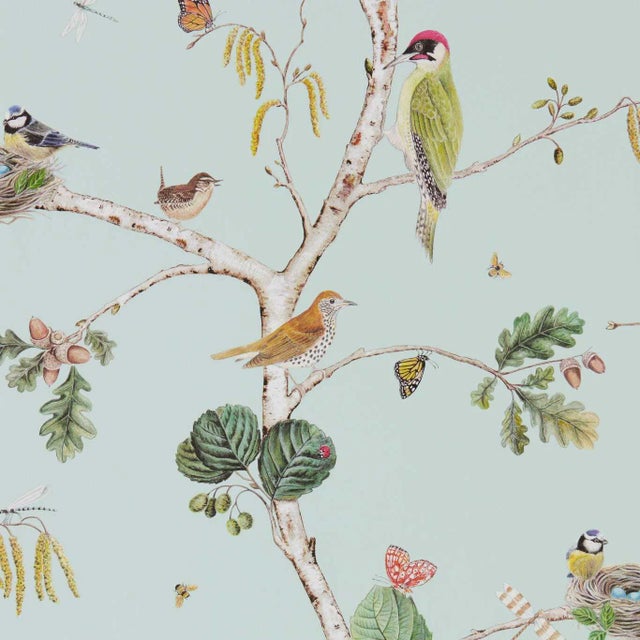 Sanderson Woodland Chorus Wallpaper in Sky Blue/Multi - a Sample For Sale