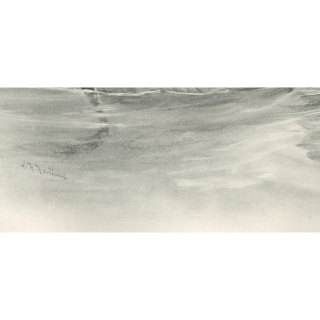 Early 20th Century After Lilian Medland, Brent Goose, 1909, Print For Sale - Image 5 of 8