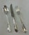 Silver 1980s Silver Dinner Spoon, Lily. For Sale - Image 8 of 18