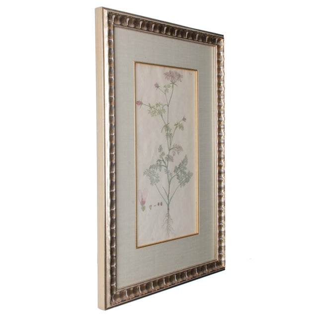 Jacquin Flower Engravings - Set of 4 For Sale - Image 9 of 12