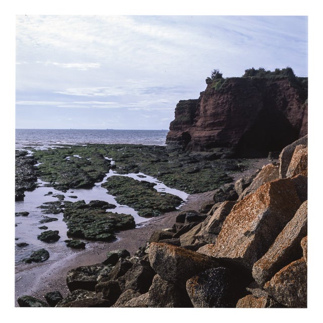 Paul Cooklin, Red Rock, Devon, Edition of 50 For Sale