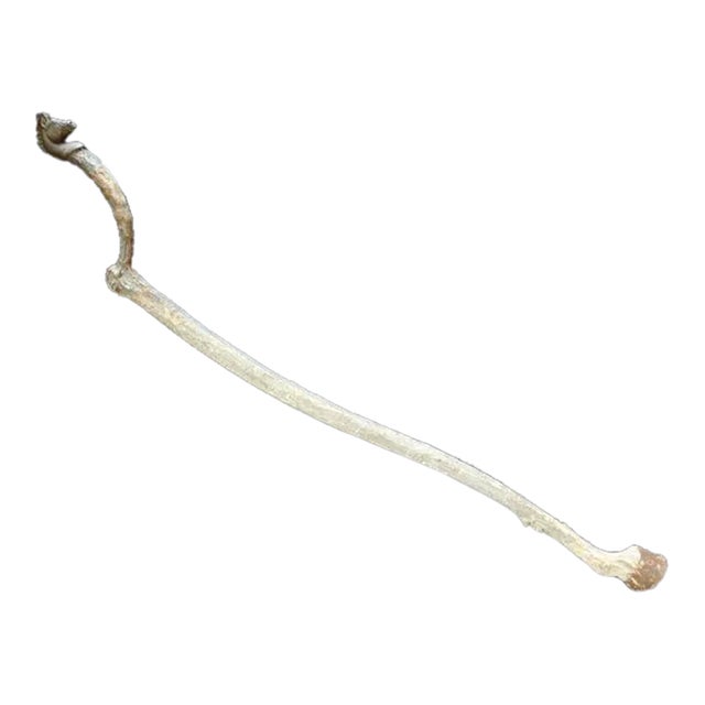 Late 20th Century Folk Art Cane, Scepter or Staff of Office With Horse Head and Hoof For Sale