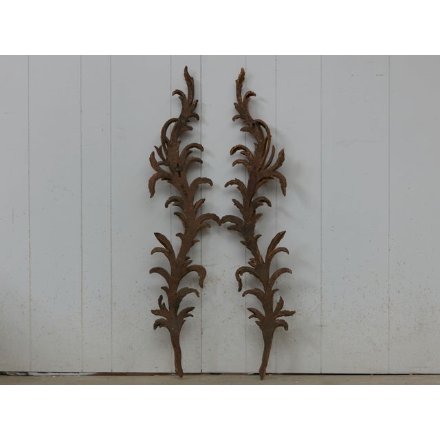 Pair of Italian 1820s Carved Giltwood Wall Fragments Depicting Scrolling Foliage For Sale In Atlanta - Image 6 of 9