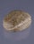 18th Dynasty Ancient Egyptian Carved Diorite Stone Heart Scarab, Circa 1500–1300 Bce For Sale - Image 12 of 18