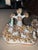 Victorian Fine Small 19th C Staffordshire Pair of Pastoral Themed Groups For Sale - Image 3 of 10
