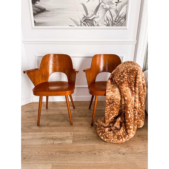 Mid-Century Modern Bentwood Model 1515 Armchairs attributed to Oswald Haerdtl for Thonet / Ton, Former Czechoslovakia, 1960s, Set of 2 For Sale - Image 3 of 18
