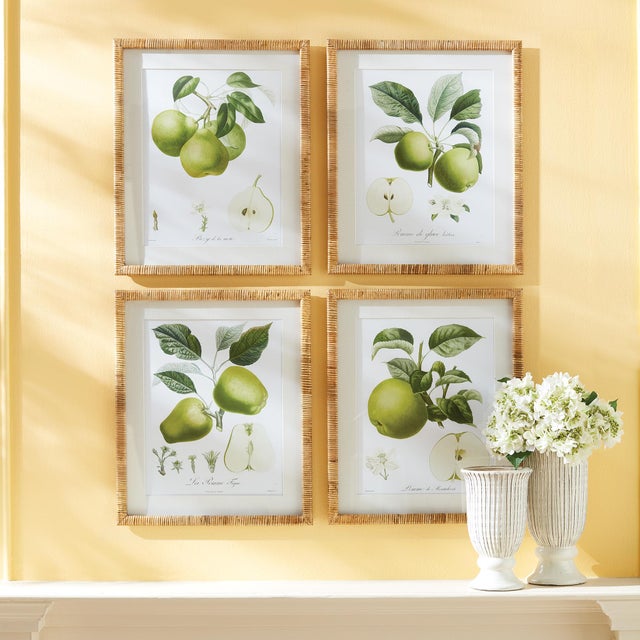 Modern Fruit Study, Set Of 4 For Sale - Image 3 of 4