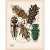 Contemporary Set of 6 Insects Giclee Reproduction Art Prints After Emile Allain Séguy For Sale - Image 3 of 6