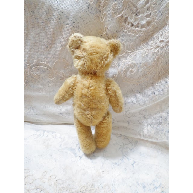The Stieff Co. Antique Steiff 1908 Teddy Bear 11" Yellow Mohair Fully Jointed With Glass Eyes Attributed For Sale - Image 4 of 8
