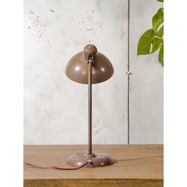 1940s Bauhaus Brown 6556 Table Lamp from Kaiser Idell / Kaiser Leuchten, 1940s For Sale - Image 5 of 14