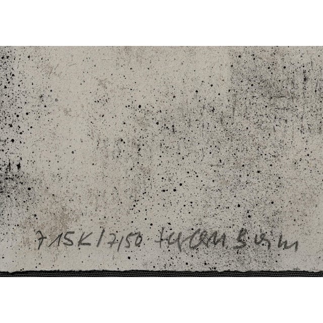 Artwork measuring 66 x 50.5 cm. with justification and pencil signature. Sold unframed, shipped in a tube. BFK paper....