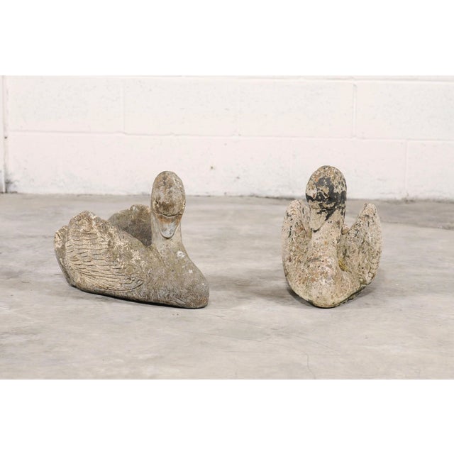 English Mid 20th Century Pair of Stone Swan Planters For Sale - Image 3 of 11