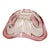1960s Vintage Murano Pink Glass Fruit Bowl, 1960s For Sale - Image 5 of 14
