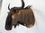 Wildebeest Mount Head Bust For Sale - Image 10 of 18