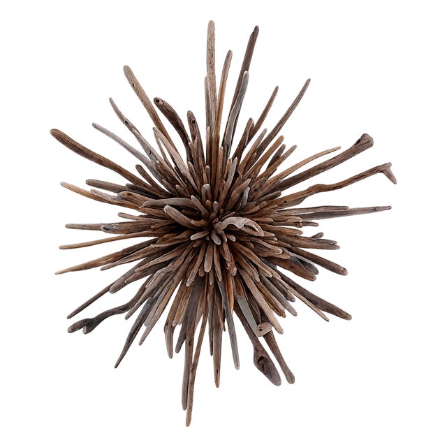 Tideborn Lotus ~Driftwood Sculpture For Sale
