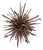 Tideborn Lotus ~Driftwood Sculpture For Sale