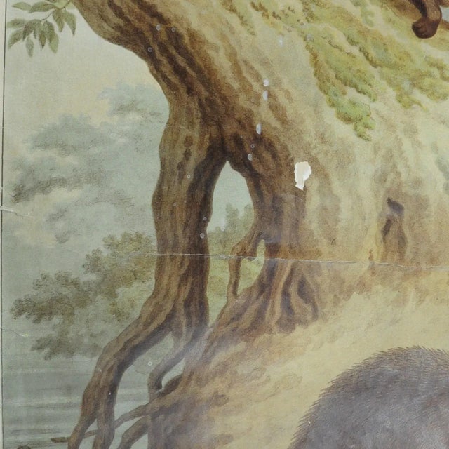 Old Vintage Country Style Weasel Otter Poster Print Wall Chart For Sale - Image 4 of 6