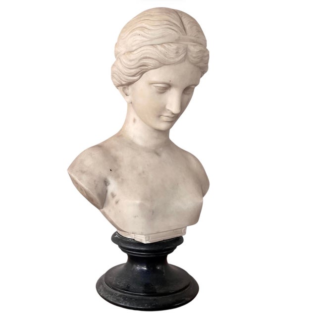 Italian Carved Marble Bust of a Young Woman For Sale - Image 12 of 16