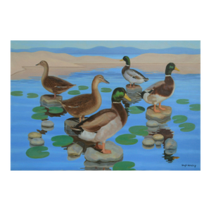 Mallard Ducks in Pond With Lily Pads, Horizontal Landscape by Hugh Hendry