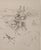 Late 20th Century Hans Bellmer, The Songs of Maldoror, 1970, Engraving For Sale - Image 5 of 5