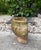 Olive Vintage Handcrafted Lion Head Wall Planter With Decorative Ring Handles For Sale - Image 8 of 12