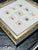 Early 19th Century Antique Coastal Seashell Set of 9 | Custom Framed Collection | by Donovan, Circa 1804 For Sale - Image 5 of 5