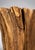 1960s Cypress Tree Trunk Table Base For Sale In New York - Image 6 of 8
