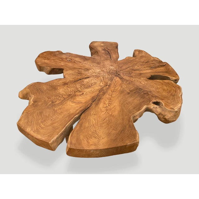 Andrianna Shamaris Organic Teak Wood Root Coffee Table For Sale - Image 12 of 18