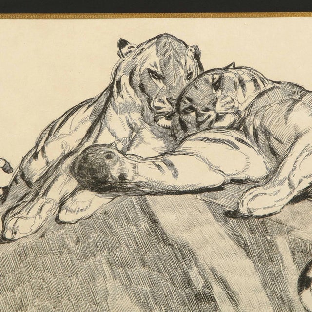 Paul Jouve Tigers Au Repose (Tigers Resting) Circa 1930 For Sale - Image 9 of 9