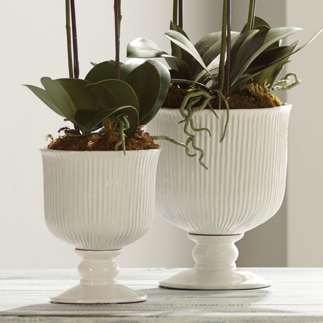 Kenneth Ludwig Chicago Sinclair Footed Urn Small For Sale - Image 4 of 6