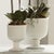 Kenneth Ludwig Chicago Sinclair Footed Urn Small For Sale - Image 4 of 6