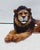 Ceramic Lion Statue from Ceramiche Boxer For Sale - Image 6 of 9