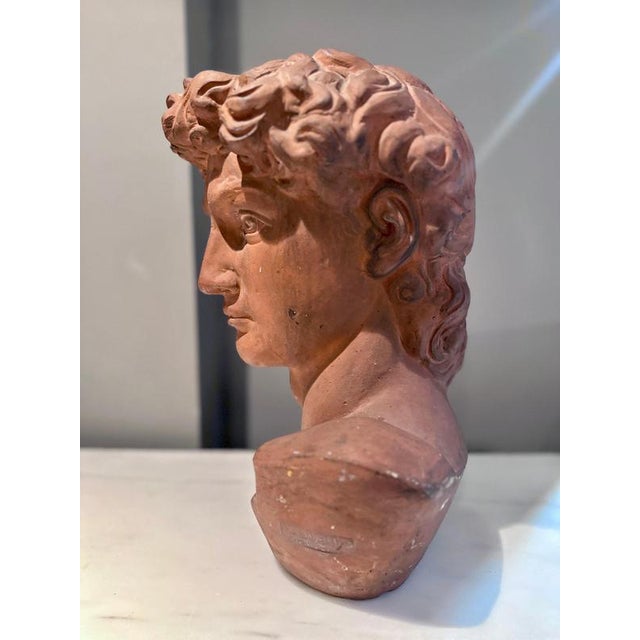 Antique Terracotta Bust of Michelangelos David by Manetti, Italy, 1910 For Sale - Image 6 of 11