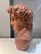 Antique Terracotta Bust of Michelangelos David by Manetti, Italy, 1910 For Sale - Image 6 of 11