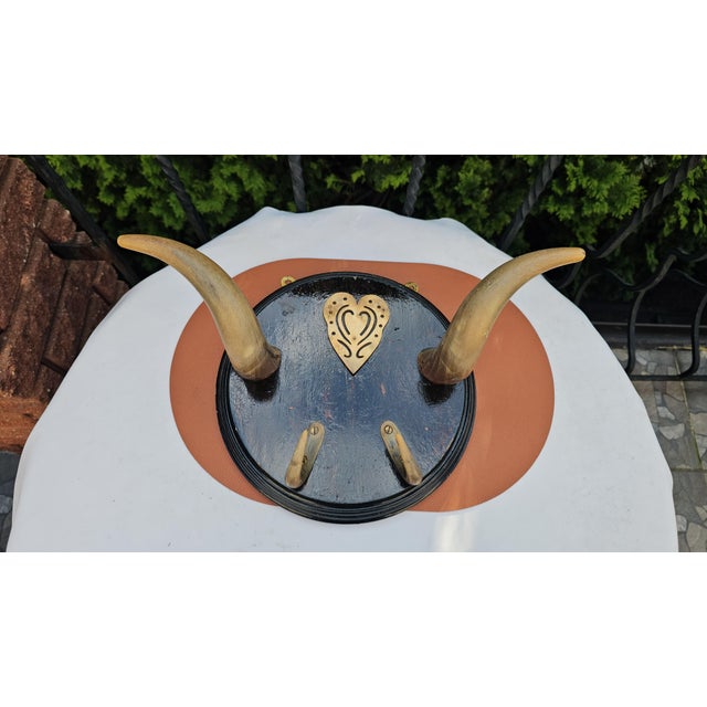 Pre-War Wooden Coat Rack with Bull Horns, 1890s For Sale - Image 4 of 7