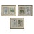 Antique Trio of Framed Double-Print Renaissance Botanical Wall Art For Sale