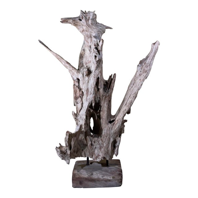 Large Natural Abstract Driftwood Sculpture For Sale