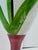 Glass Late 20th Century Kosta Boda “Tulipa” Hand-Painted Art Glass Goblets by Ulrica Hydman-Vallien – Pair For Sale - Image 7 of 18