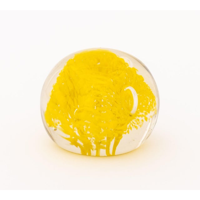 Yellow Collection of Six French, Scottish, and Murano Glass Paperweights For Sale - Image 8 of 13