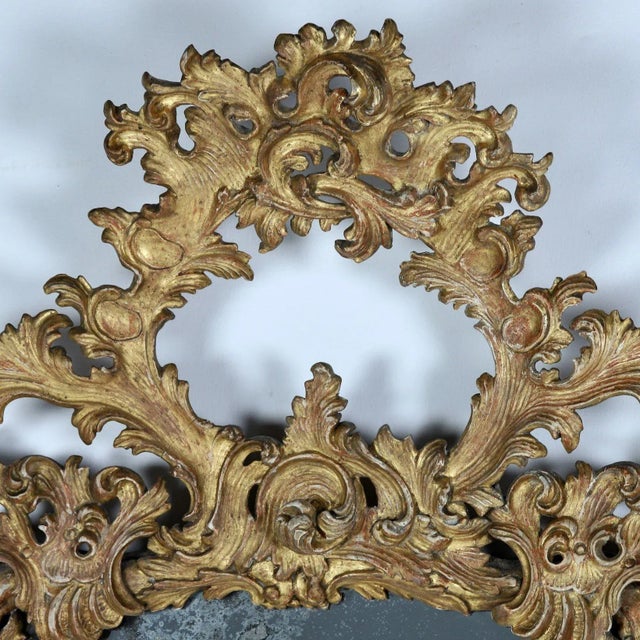 Early 19th Century 19th C. Italian Rococo Giltwood Mirror With Original Mirror Plate For Sale - Image 5 of 9