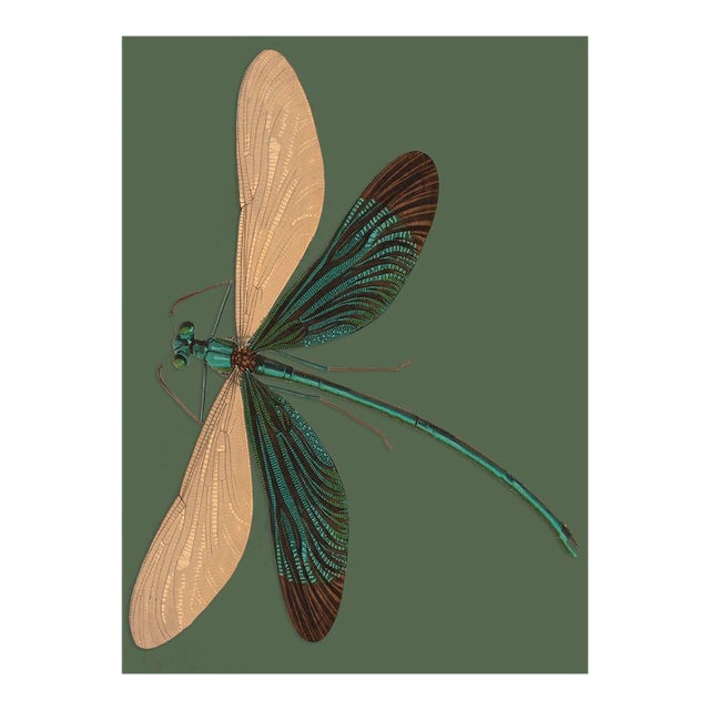 Bugs by Seguy #26 For Sale